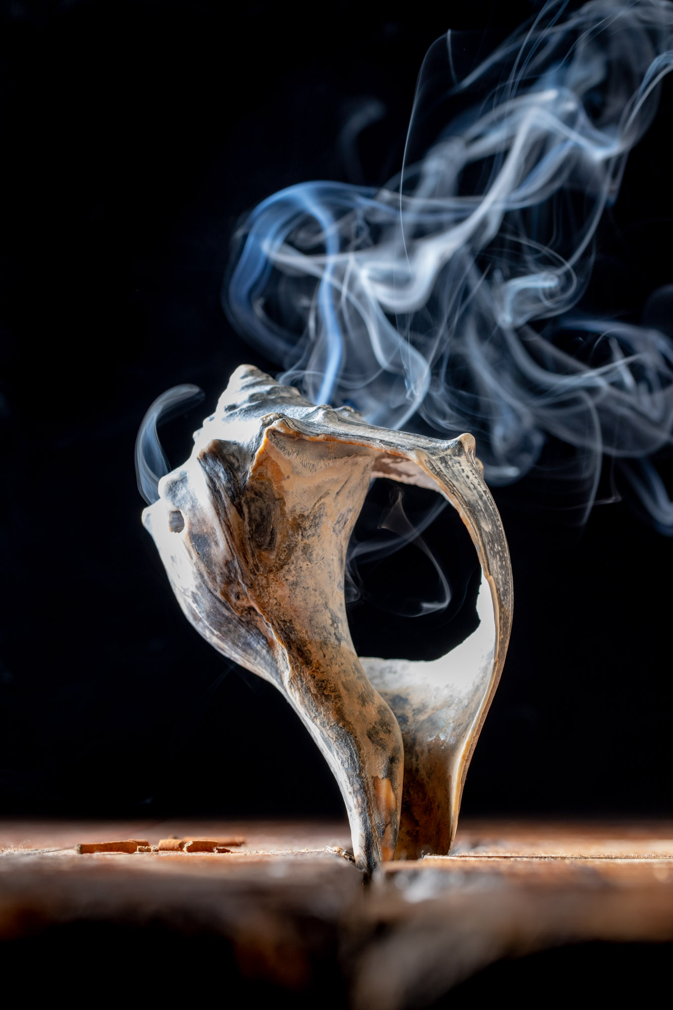 A seashell with smoke rising from it