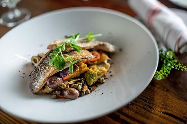 Fancy Branzino at Cibo e Vino.